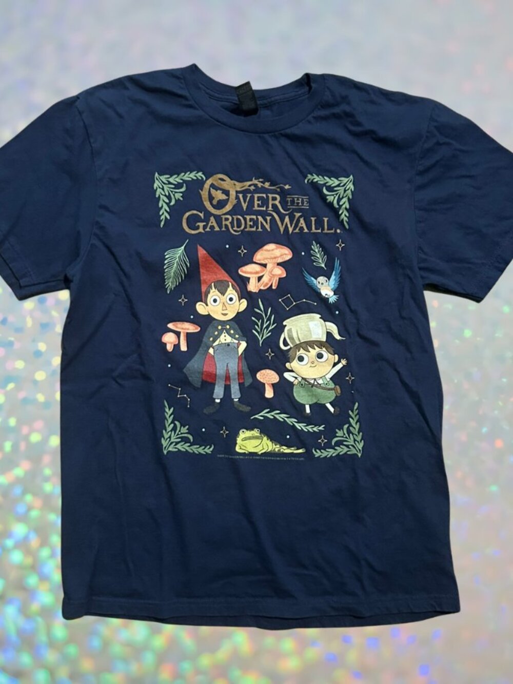 Over the Garden Wall Tee Size M